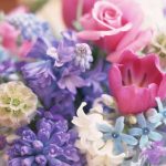 Вітаємо зі святом!